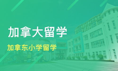 青岛加拿东小学留学价格 加拿大留学哪家好 青岛索引留学 淘学培训