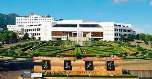 青岛大学运动会美女云集,一举牌女生走红网络,好似 司藤 重生