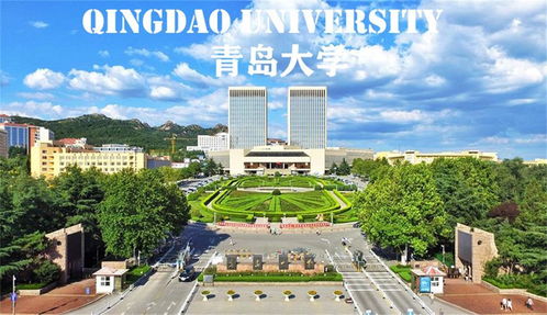 山海不远 留学青大2020 宣传视频
