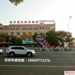 大红色喜庆手提袋子福袋过新年送礼回礼福字袋礼物袋子包装礼品袋