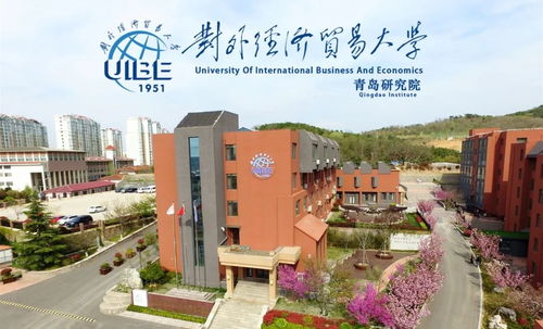 对外经济贸易大学青岛研究院俄罗斯留学预科招生简章
